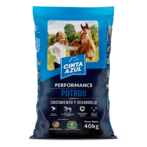 Cinta azul potros P. x 40 kg