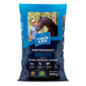 Cinta azul adultos P. x 40 kg