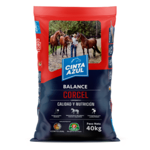 Cinta azul BCE corcel adultos P. x 40 kg