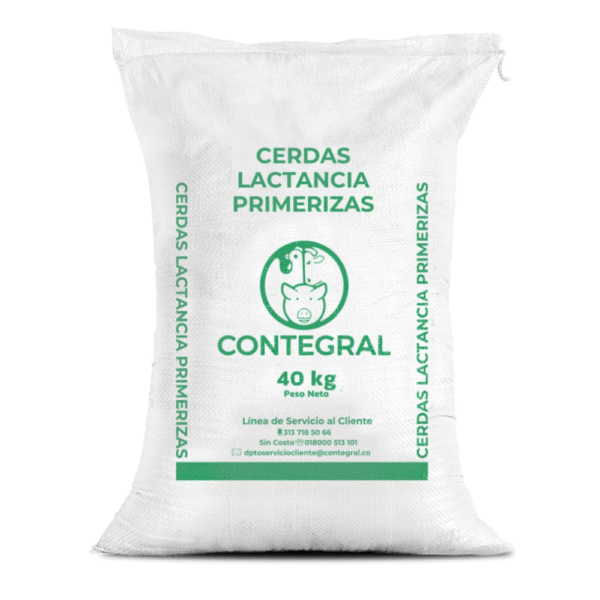 Cerdas lactancia P X 40 kg