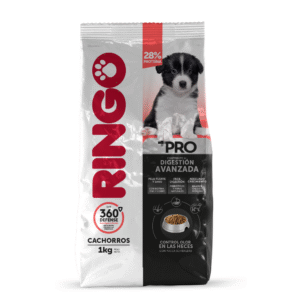 Ringo + pro cachorro