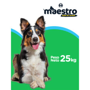 Maestro adultos x 25 kg